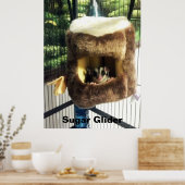 Suikerglijder in boerenveer poster (Keuken)