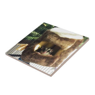 Suikerglijder in boerenveer tegeltje