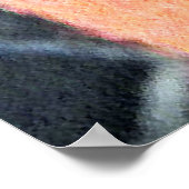 Suikerglijder in Oranje plakband Poster (Hoek)