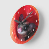 Suikerglijder in Oranje plakband Ronde Klok (Hoek)