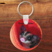 Suikerglijder in Oranje plakband Sleutelhanger (Voorkant)