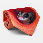 Suikerglijder in Oranje plakband Stropdas (Opgerold)