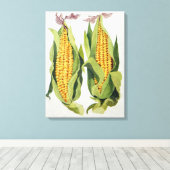 suikermaïs 2013 canvas afdruk (Insitu (Houten vloer))