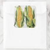 Suikermaïs 2013 vierkante sticker (Tas)