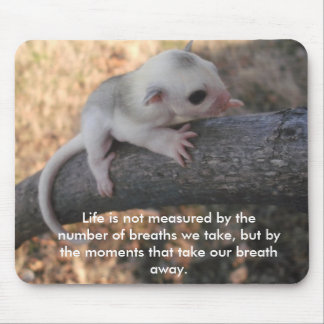 Suikermousepad Muismat