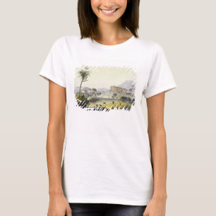 Suikerplanten, Antillen (kleurgraving) T-shirt