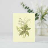 suikerriet en kaneel  lithograaf briefkaart (Staand voorkant)