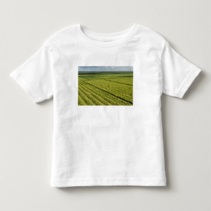 Suikerrietplantages, Guyana Kinder Shirts