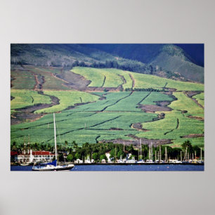 Suikerrietvelden - Lahaina, Maui Poster