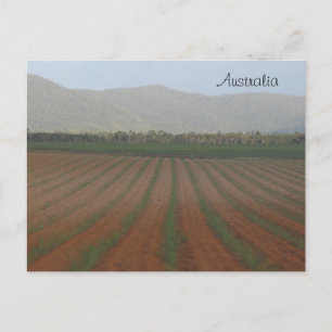Suikerrietvelden — Queensland, Australië Briefkaart