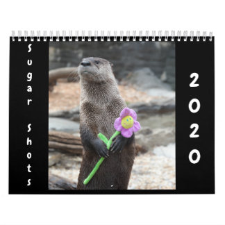 Suikerschoten Agenda 2020 Kalender