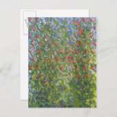 Suikerwten 2014 briefkaart (Voorkant / Achterkant)