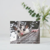 suikerzweefbriefkaart briefkaart (Staand voorkant)