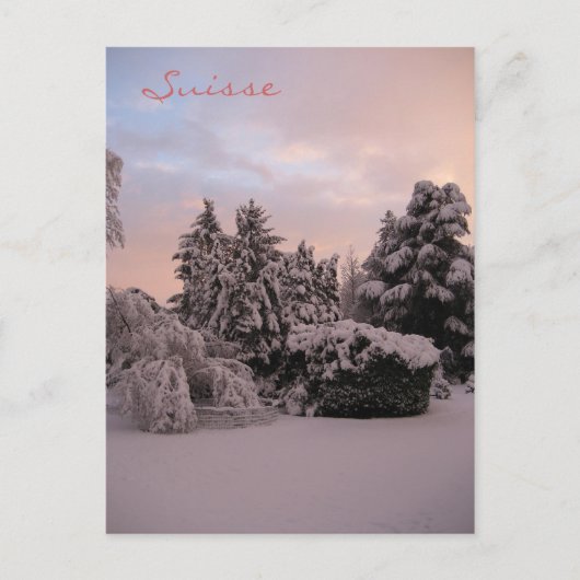 Suisse Briefkaart (Voorkant)