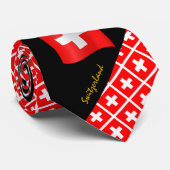 Suisse Cravate à bandes croisées, affaires Swiss D (Roulé)