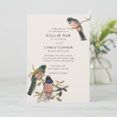 Suite de faire-part oiseau antique magnifique (Debout devant)