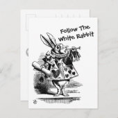 Suivez La Carte Postale White Rabbit CC0257 (Devant / Derrière)