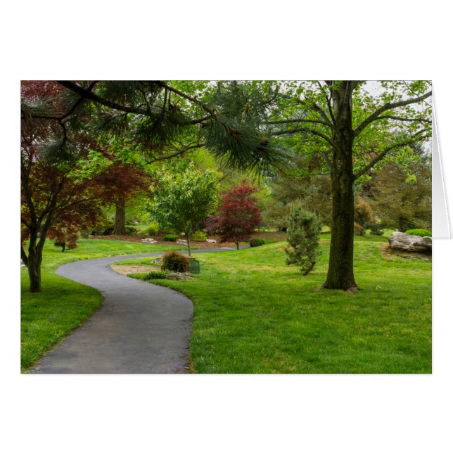 Suivez Le Panorama Path (Devant horizontal)