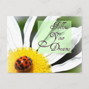 Suivez votre carte postale Dreams Ladybug