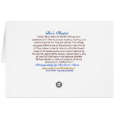 Suivez votre chemin : Plum Island, MA (Dos Horizontal)