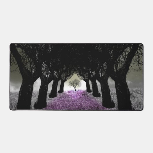 Suivre la trajectoire de l'herbe violette Concepti (Recto)