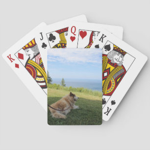 Suka appréciant les cartes à jouer du cap George