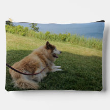 Suka Enjoying Cape George