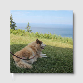 Suka geniet van Cape George Gastenboek