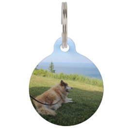 Suka genietend van Cape George Huisdierentag Huisdierpenning