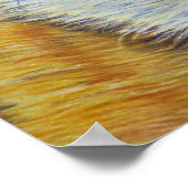 Suki - Shiba Inu Poster (Hoek)