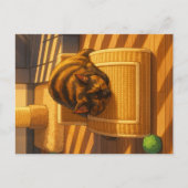 Suki's Sunny Nap Feestdagenkaart (Voorkant)