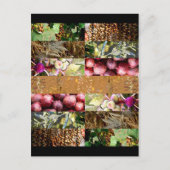 Sukkot feestdagen briefkaart (Voorkant)