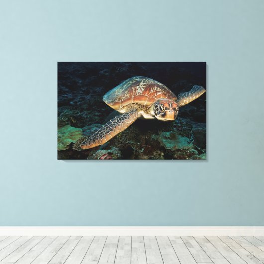 Sulawesi | Groene Zee schildpad Canvas Afdruk (Insitu (Houten vloer))