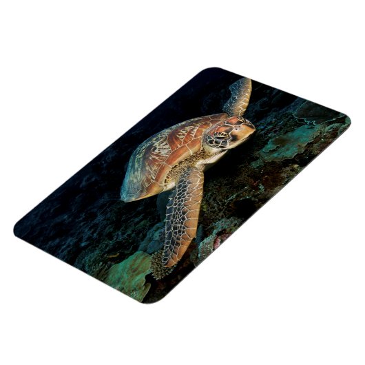 Sulawesi | Groene Zee schildpad Magneet (Linkerzijde)