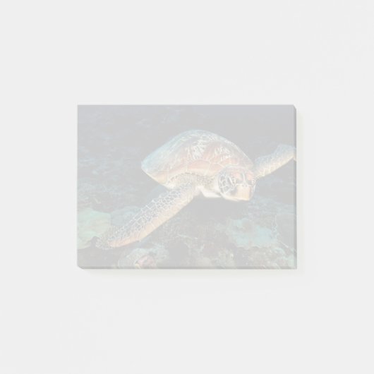 Sulawesi | Groene zeeschildpad Post-it® Notes (Voorkant)