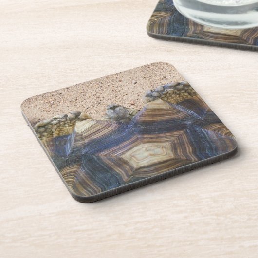 Sulcata Tortoise et Sand Magnet Dessous de verre e (Côté gauche)