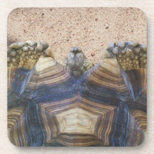 Sulcata Tortoise et Sand Magnet Dessous de verre e