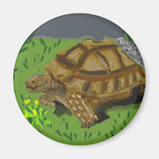 Sulcata Tortoise Magneet