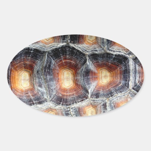 Sulcata Tortoise Shell Sticker (Voorkant)