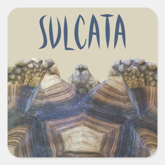 Sulcata Tortoise Stickers (Voorkant)
