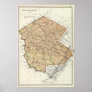 Sullivan County Poster