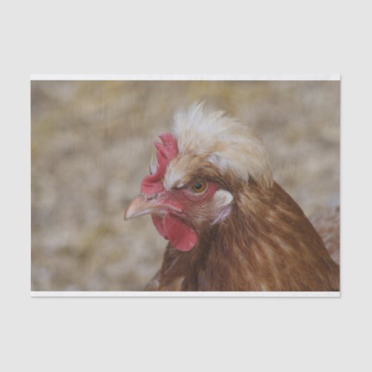 Sulmtaler Hen Tissuepapier (Voorkant)