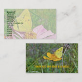 Sulpher Butterfly Visitekaartje (Voorkant / Achterkant)
