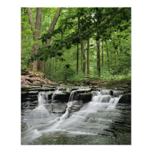 Sulphur Creek waterval Foto Afdruk
