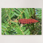 Sumac-boom in Frankrijk Legpuzzel (Horizontaal)
