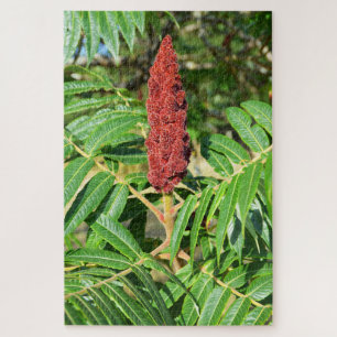 Sumac-boom in Frankrijk Legpuzzel