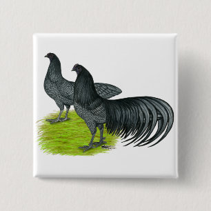 Sumatra: Blauwe lucht Vierkante Button 5,1 Cm