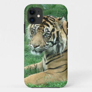 Sumatra Tiger op iPhone 5 vlak daar iPhone 11 Hoesje