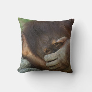 Sumatraanse orang-oetan, Pongo pygmaeus Kussen