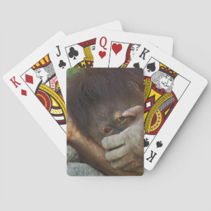 Sumatraanse orang-oetan, Pongo pygmaeus Speelkaarten